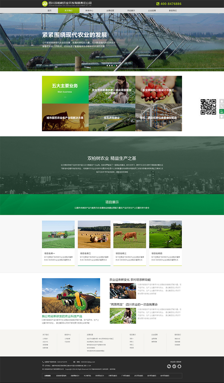 雙柏樹網(wǎng)站制作