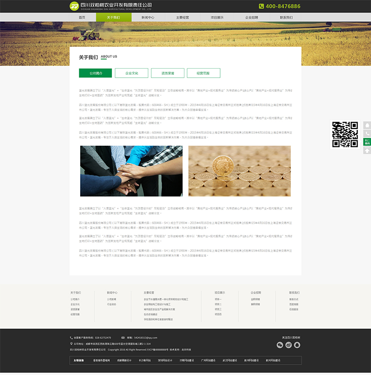 雙柏樹網(wǎng)站設(shè)計