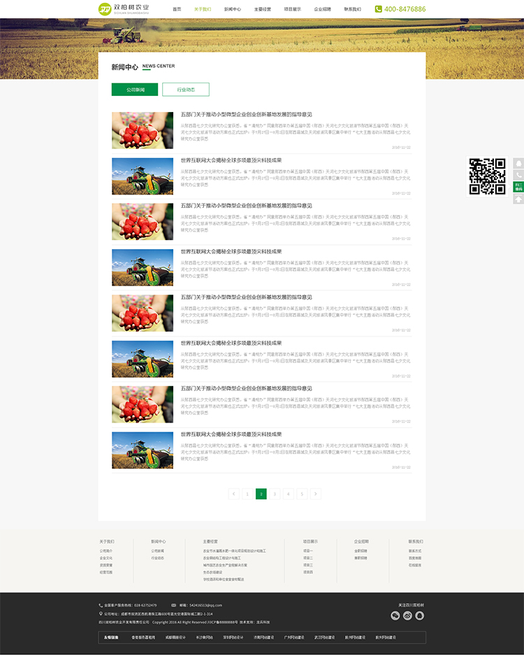 雙柏樹網(wǎng)頁制作