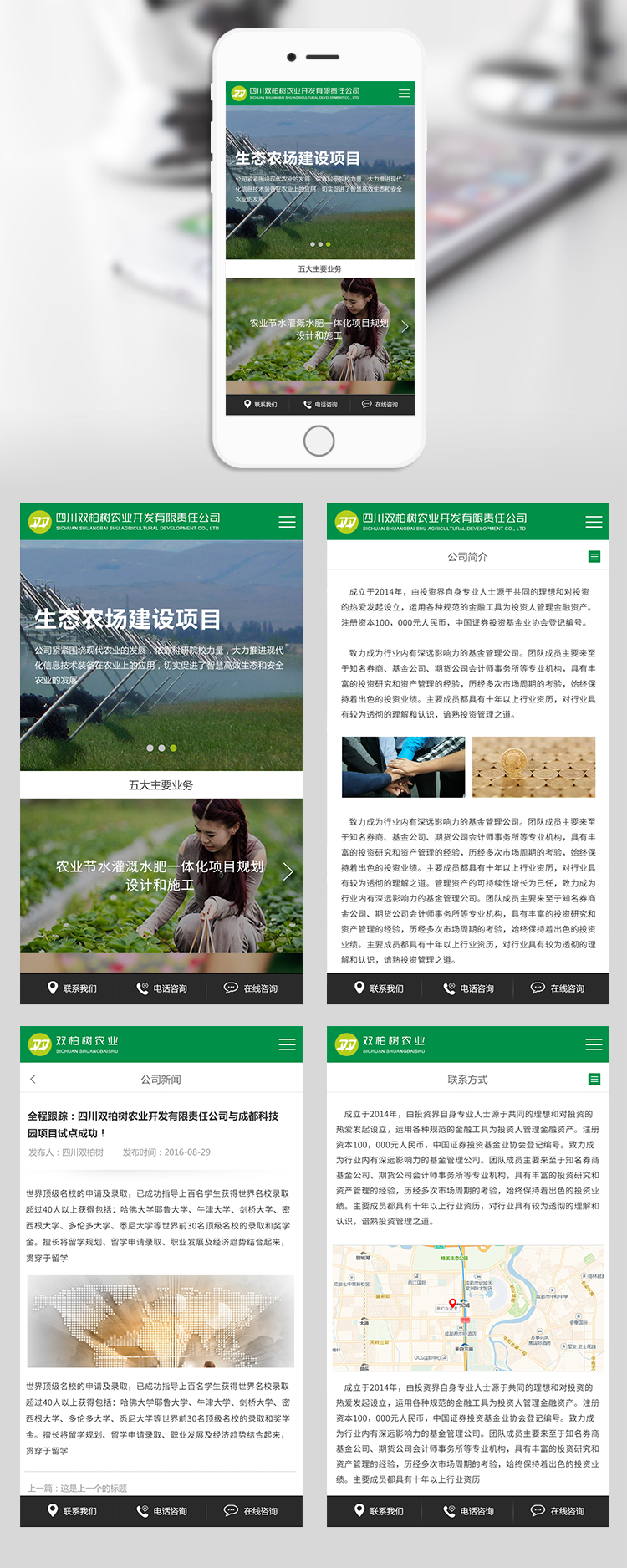 雙柏樹網(wǎng)站設計